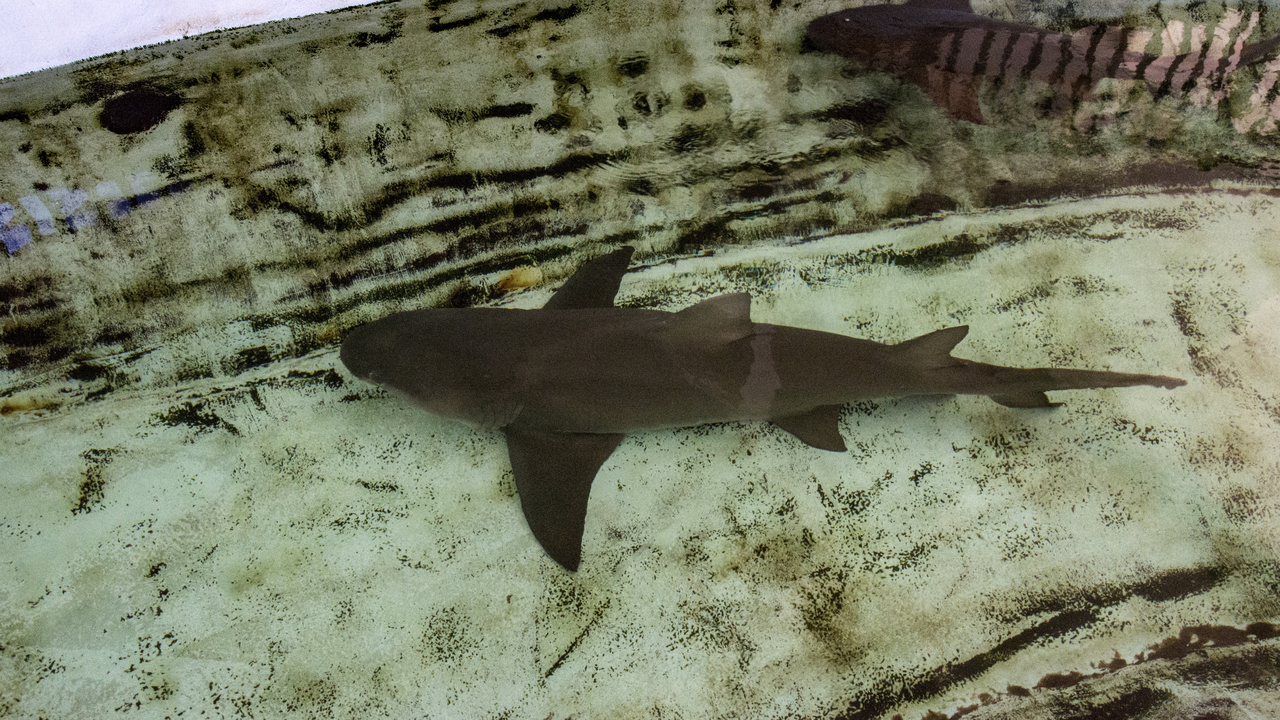 20160217-104317••Fort Walton Beach•Florida•USA